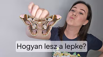 TikTok — @plantprotecting